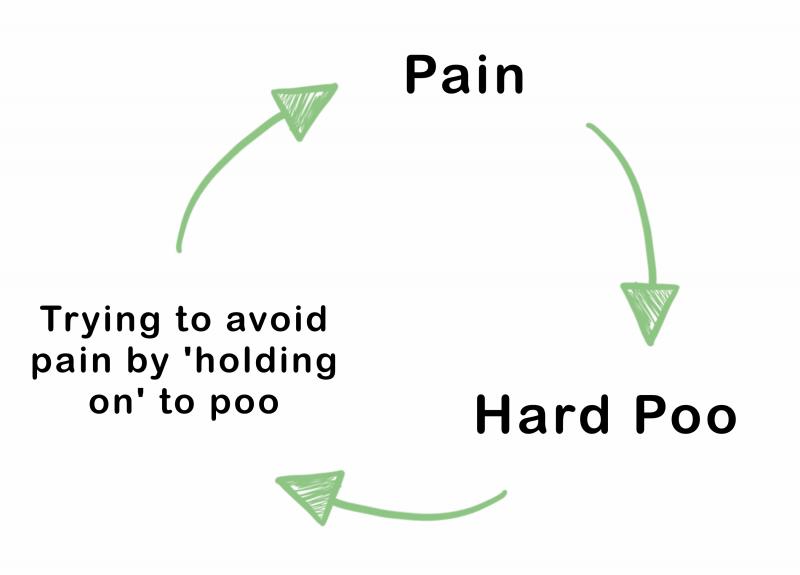 Graphic showing the cycle of constipation