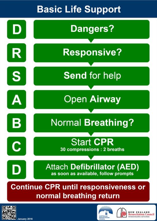 basic life support algorithm from NZ resuscitation council