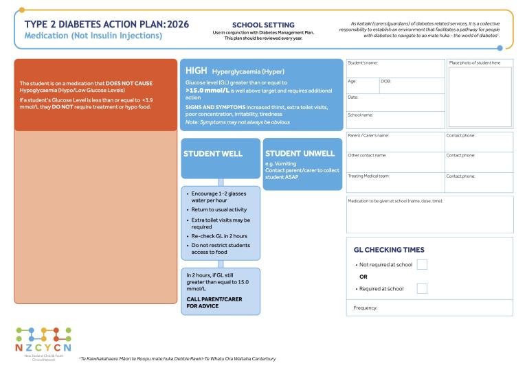 Image of the NZCYCN School Action Plan Type 2 Diabetes (Medication) 2026 cover