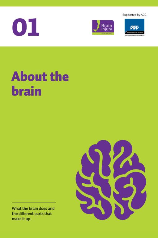 About the brain - ACC booklet cover