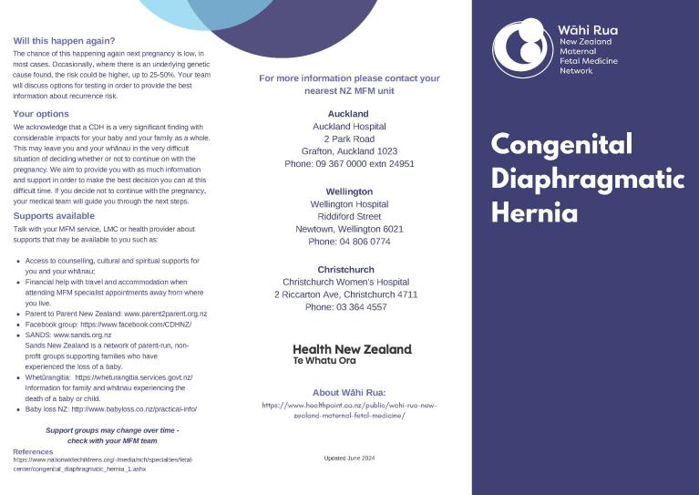 Cover of pamphlet about congenital diaphragmatic hernia