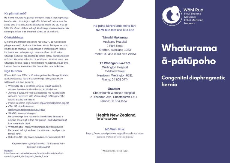 Cover of pamphlet about congenital diaphragmatic hernia in te reo Māori