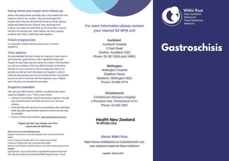 Gastroschisis pamphlet cover