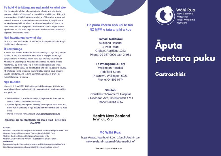 Gastroschisis te reo Māori pamphlet cover