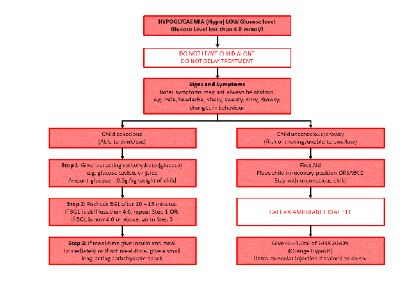 Hypoglycaemia flow chart