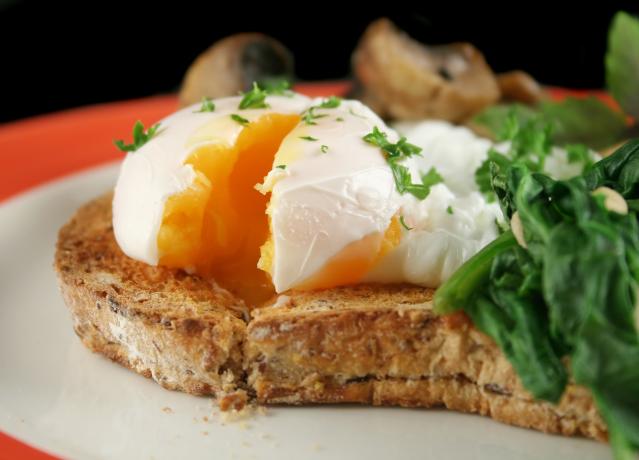 A soft poached egg with a runny yolk on toasted grain bread, served with cooked spinach.