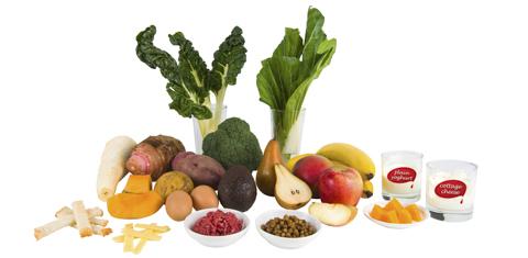 Vegetables (silver beet, bok choy, broccoli, avocado, taro, kumara, potato, cassava, pumpkin), toast fingers, strips of cheese, eggs, bowl of raw mince, bowl of legumes, fruit (pear, apple, mango, bananas, soft small pieces of fruit, glass of cottage cheese, glass of plain yoghurt