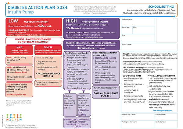 Image of diabetes action plan for primary and secondary schools - for tamariki and rangatahi who use insulin pumps