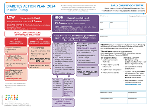 Image of diabetes action plan for early childhood centres - for tamariki who use insulin pumps