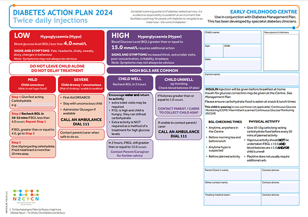 Image of diabetes action plan for early childhood centres - for tamariki who have twice daily injections