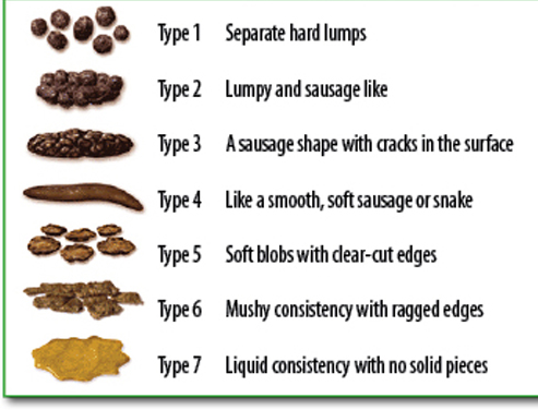 Stool Chart For Newborns