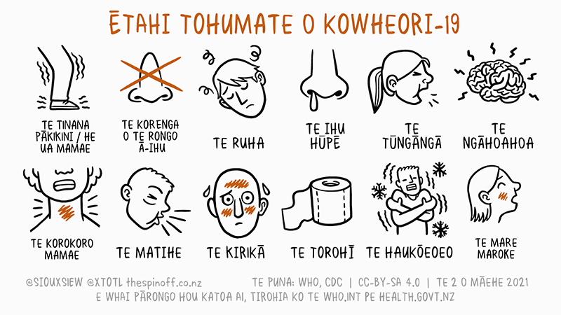 Graphic of potential symptoms of COVID-19 in Māori