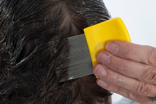 Using a fine tooth head lice comb