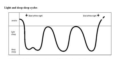 Baby Sleep Cycle Chart