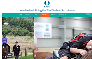 Riding For The Disabled Website Screenshot