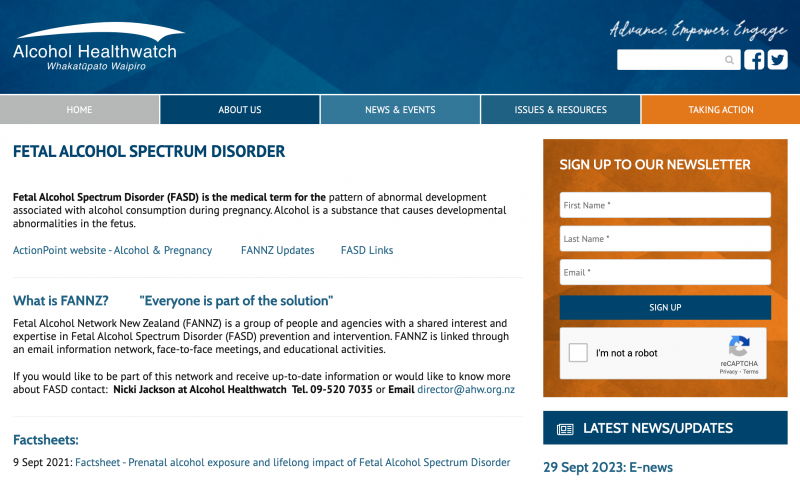 Screen shot of the fetal alcohol network NZ website 