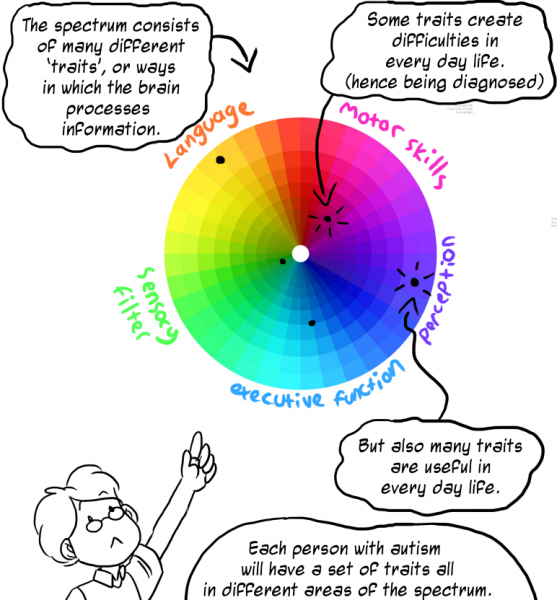 A circle representing the autism spectrum