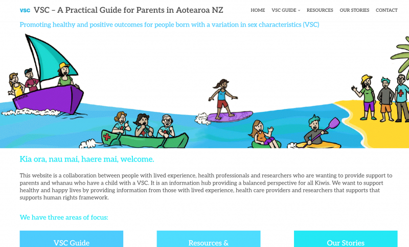 Screenshot of the VSC website