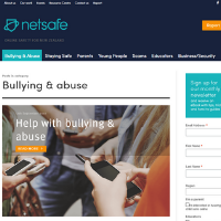 Netsafe website