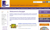 Thumbnail image of skylight website homepage