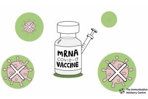 screenshot image of animated vaccine 